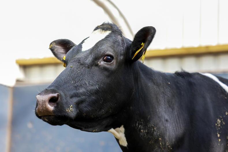 Production costs on winter milk farms up 24%