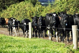 Comment: drop in liquid milk suppliers is no surprise