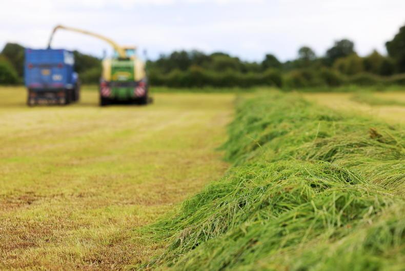 New CAP plans are ‘dangerous step towards renationalisation’ – Renew Europe