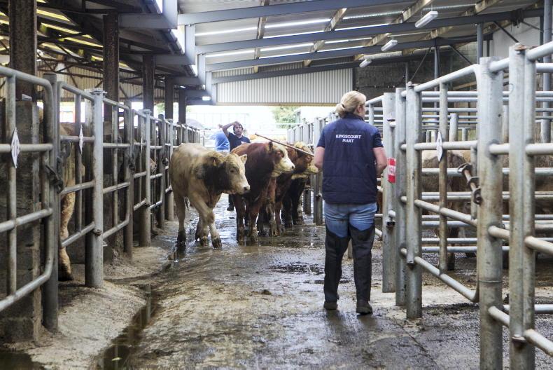 Competitive prices at Kingscourt sale of TB-restricted cattle