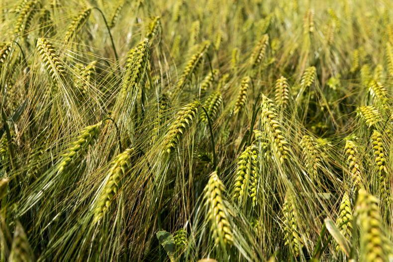 Editorial: marts move on credit