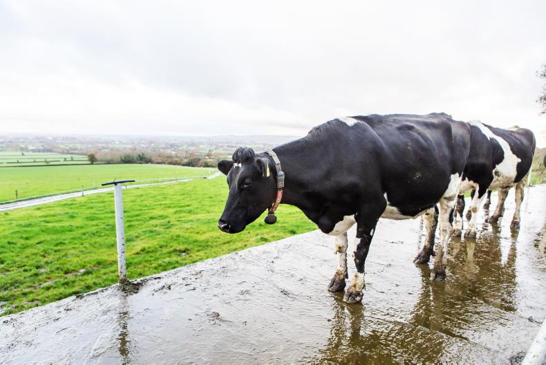 Dale Farm take 1p/l off for June