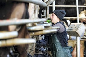 Average price of 47.86c/l for winter milk in 2023/2024