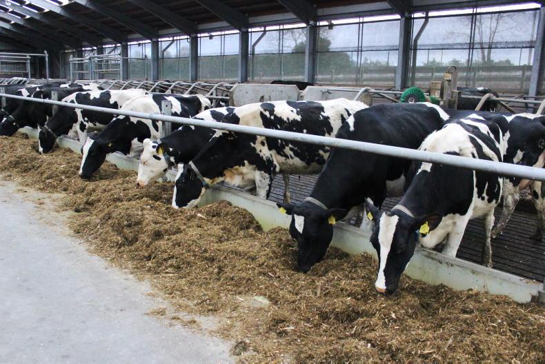 High input dairy with highest margins report Kingshay