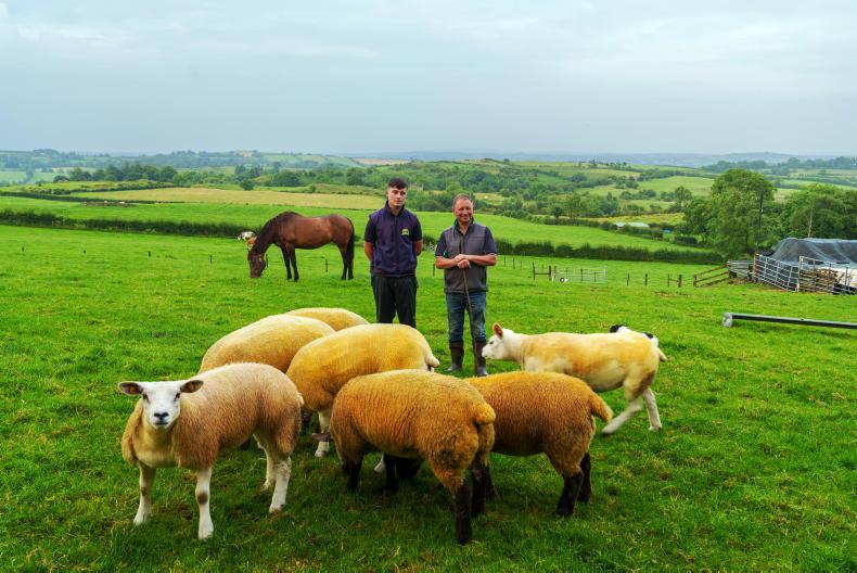 My Farming Week: Aaron McPhillips, Ballyjamesduff, Co Cavan