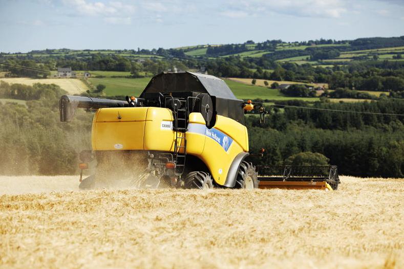 Bleak outlook for tillage farmer incomes