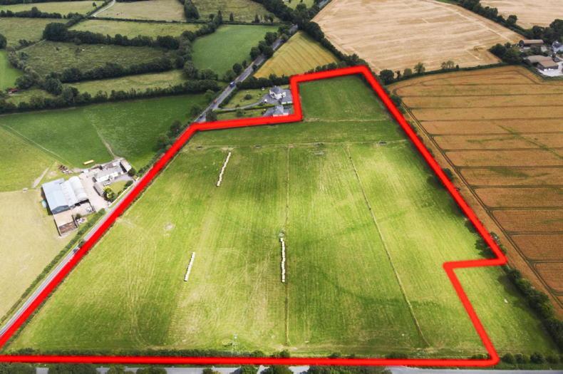 Kildare land comes with extensive road frontage