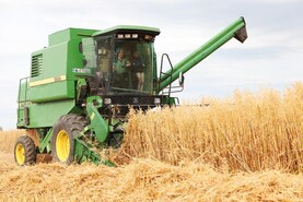 Tillage Podcast: prices, catch crops and harvest