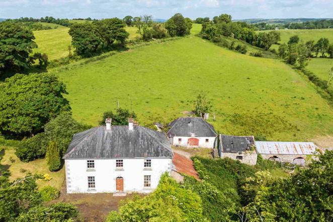 Co Meath farm sells for double its guide price