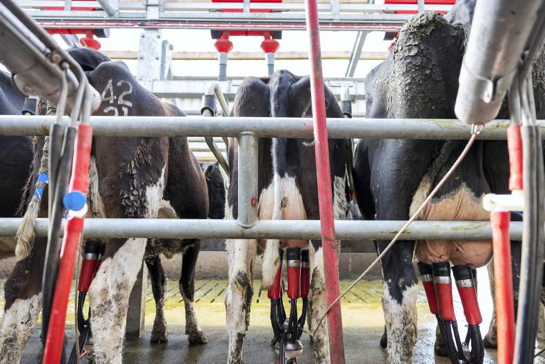 Agri jobs: dairy farm assistants sought across the country