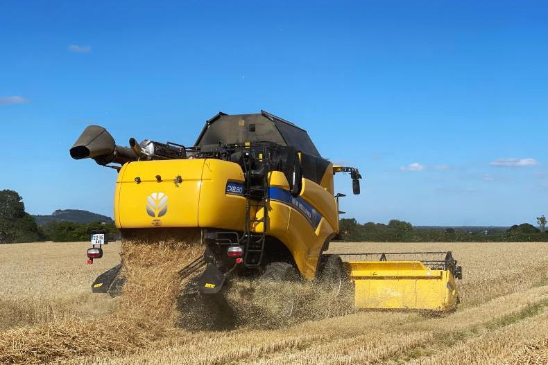 Watch the Irish Farmers Journal Crop Tour every night next week