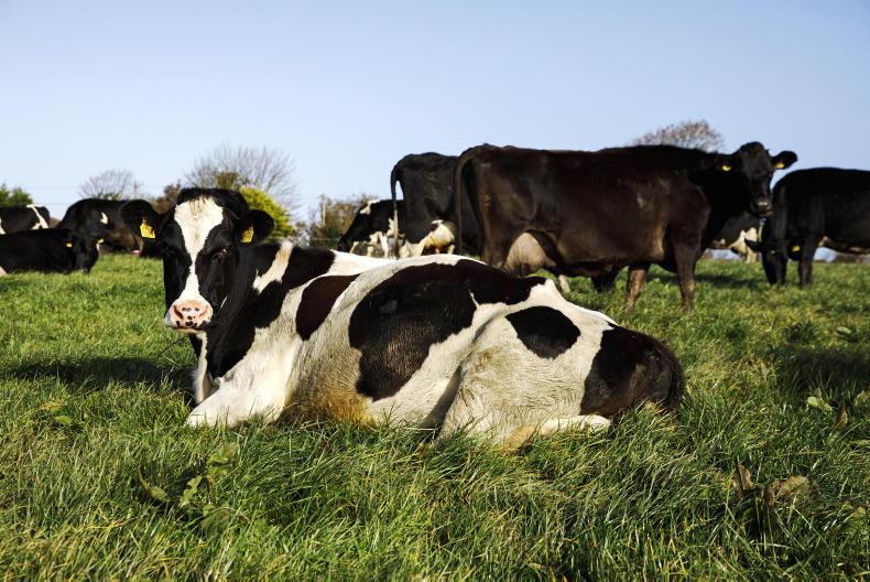 More cows push emissions up on Signpost farms