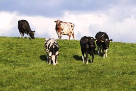 Advert inaccurately targeting dairy industry removed from cinemas