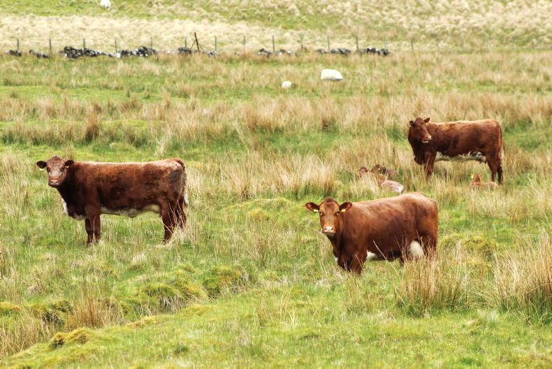 Applications open for ACRES landscape actions