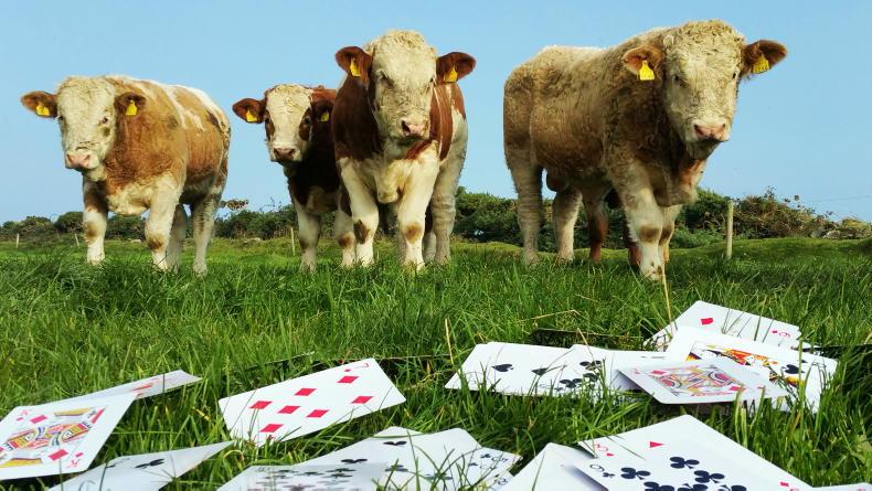 Farmer Writes: emptying the CAP card pack onto the table