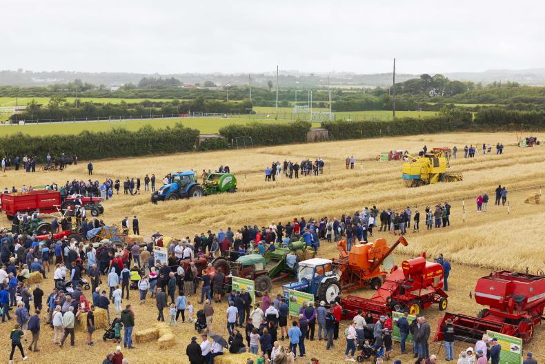 World record set at Wexford festival