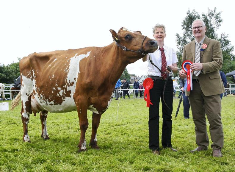 Tirlán pays the highest price to 1m-litre suppliers