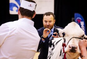 Italian breeder tasked with judging the Diageo Baileys Champion Cow