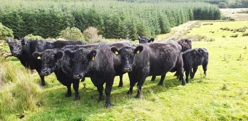 LEADER and EIP-AGRI projects ‘should’ be funded
