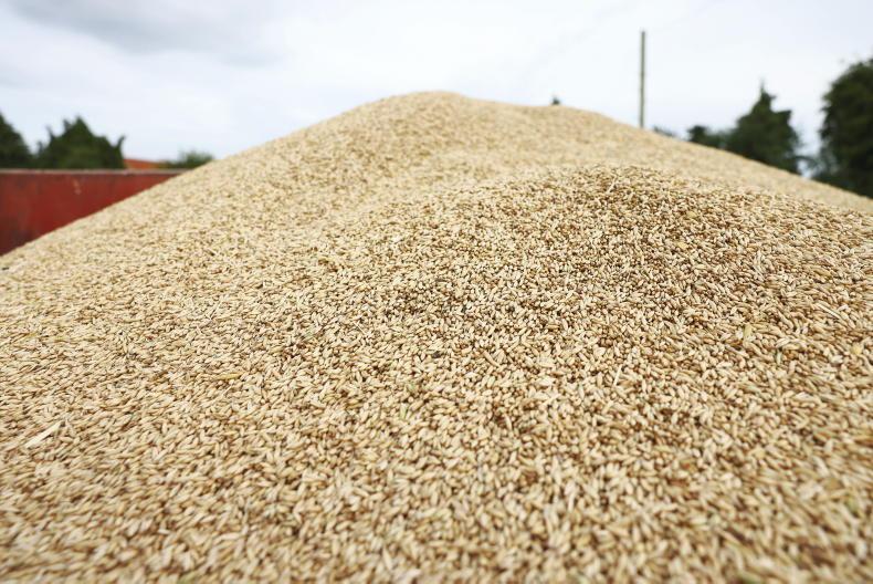 Tillage Management: early spring barley harvest on the cards