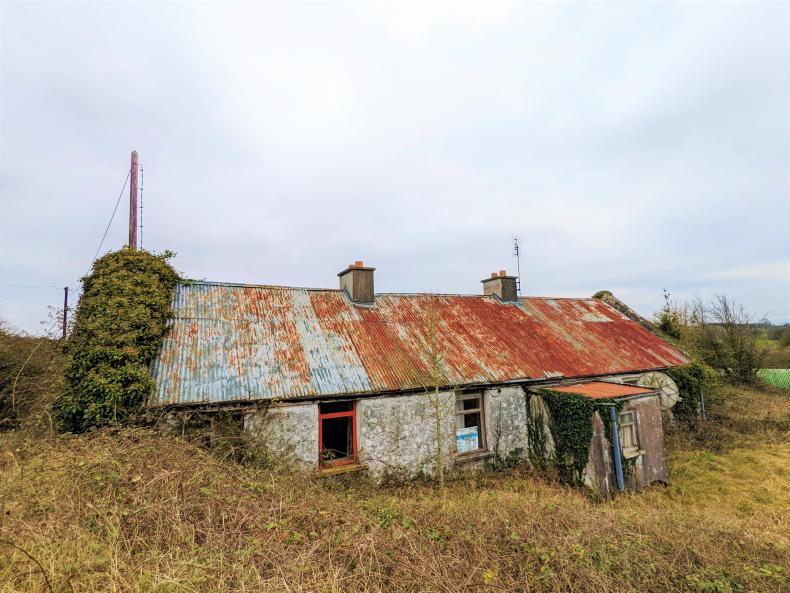 Rural depopulation should concentrate minds on CAP