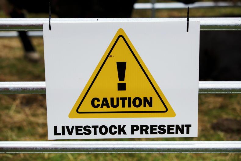 Editorial: farm safety – mind the older farmers as well