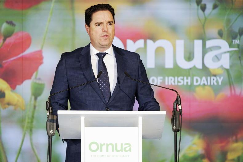 Clock ticks on Ireland's derogation plans