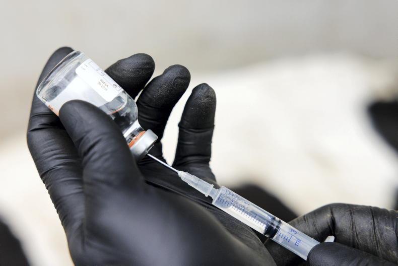 Bluetongue vaccines approved for Northern Ireland
