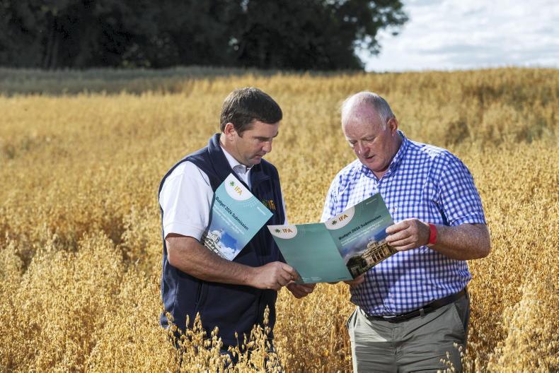 Submission seeks support against uncertain backdrop – IFA