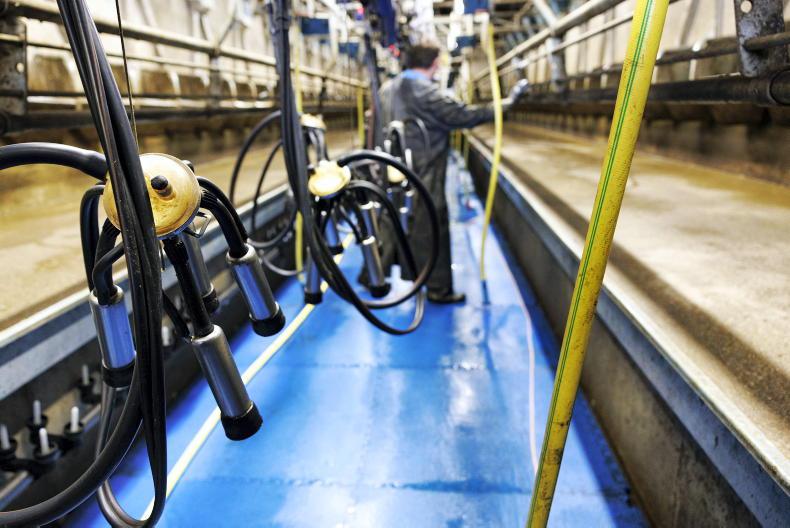Agri jobs: dairy farm assistants and horticulture workers sought nationwide