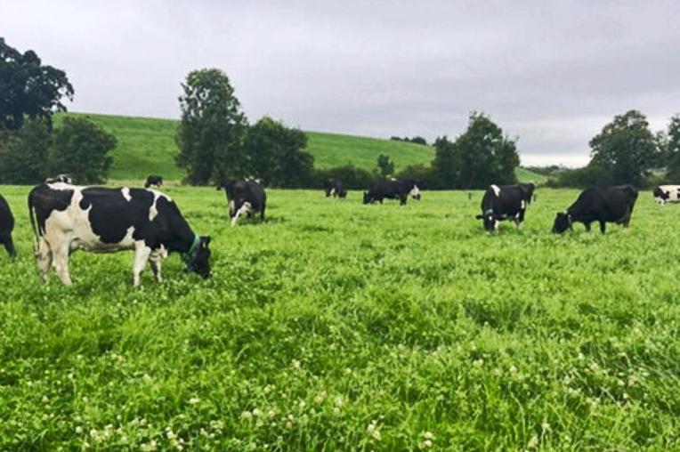 Weekend weather: good lot of dry weather with passing showers 