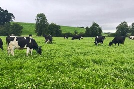 Weekend weather: good lot of dry weather with passing showers 