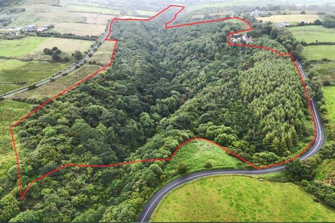 High nature value land comes with waterfall in Co Limerick