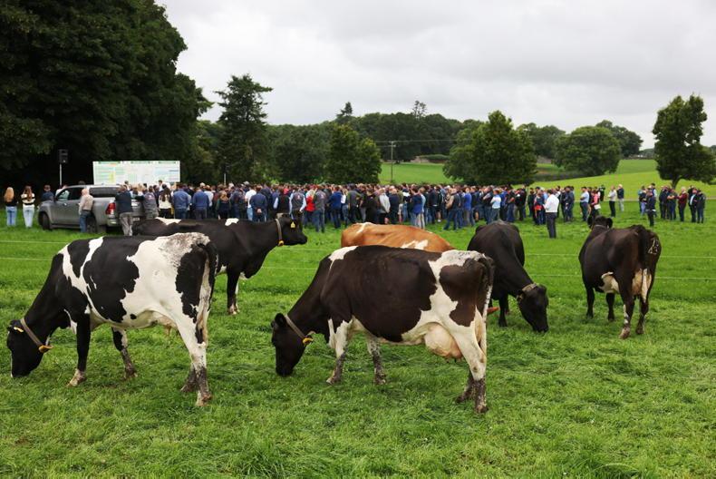 IGA tour: matching up stocking rate in Cork