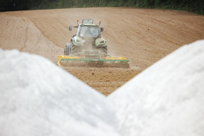 Top reseeding tips for drystock farms this autumn