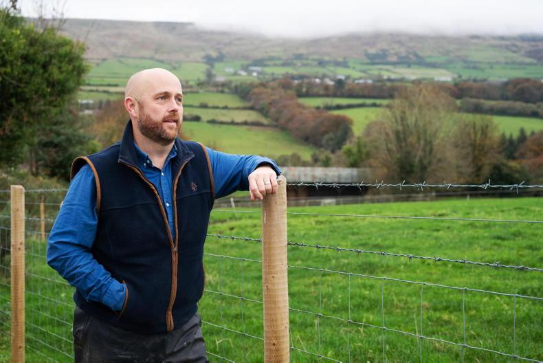 Farmer Writes: grass supplies on a bit of a knife edge
