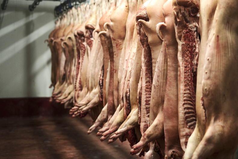 Pig slaughterings up over 10% this June