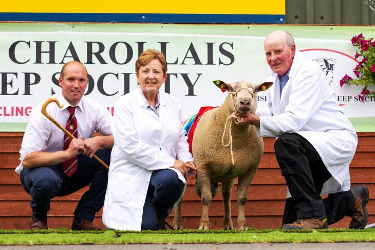 Duiske Centodieci sells for €5,000 in Blessington