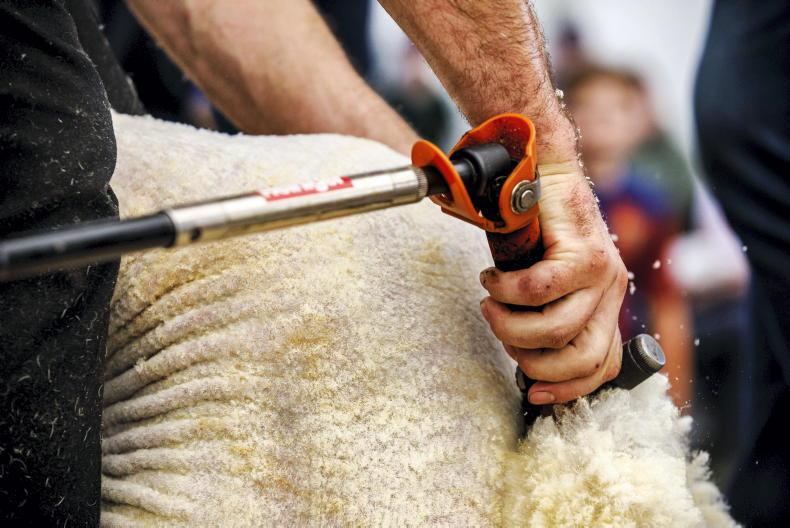Donegal for World Shearing 2029? 