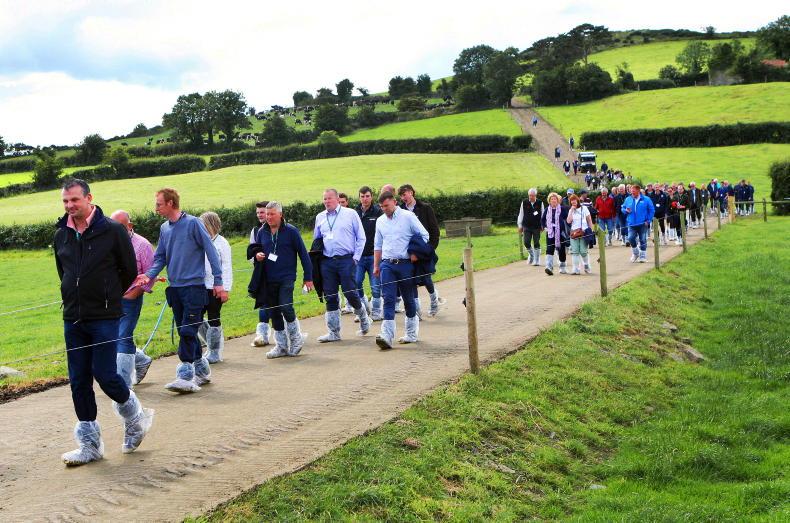 Northern Ireland diary of events