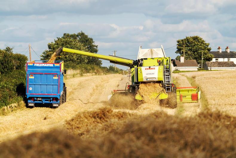 Tillage Management: harvesting spring barley and winter wheat in July