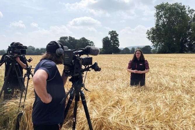 Editorial: tillage Crop Tour yield positivity