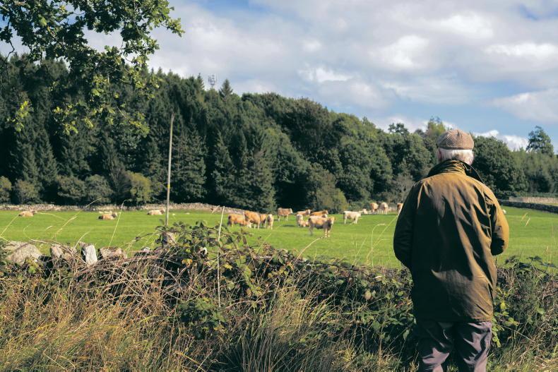 Money Mentor: retiring from farming? What you need to know