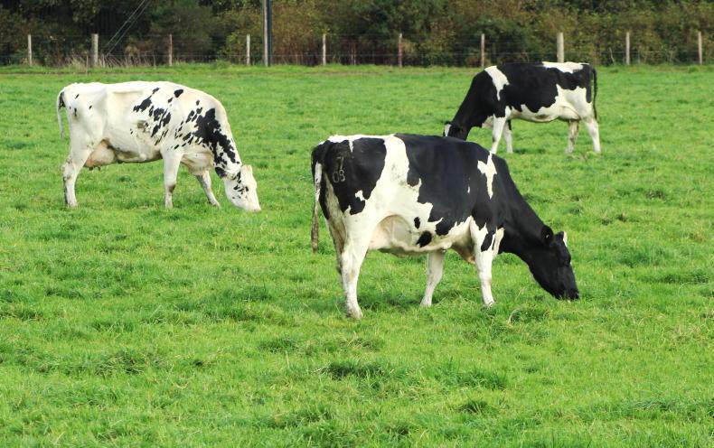 Delaney to chair dairy research board