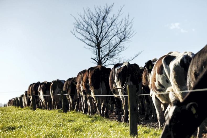 Offers sent to farmers along Shannon-Dublin pipeline