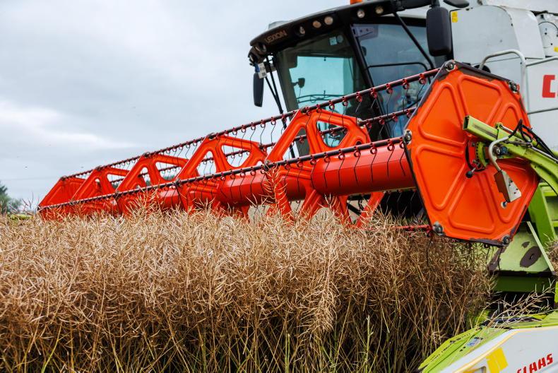 Grain Trends: no movement in prices as harvest gets busy