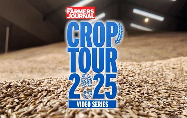 Value of Irish grain the strong theme from Crop Tour 2025
