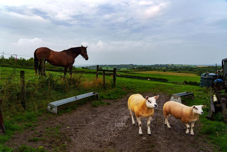 Watch: this week in photos as harvesting and farming events take place