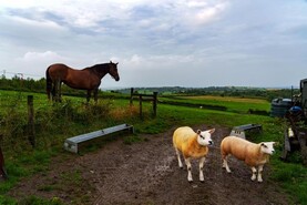 Watch: this week in photos as harvesting and farming events take place