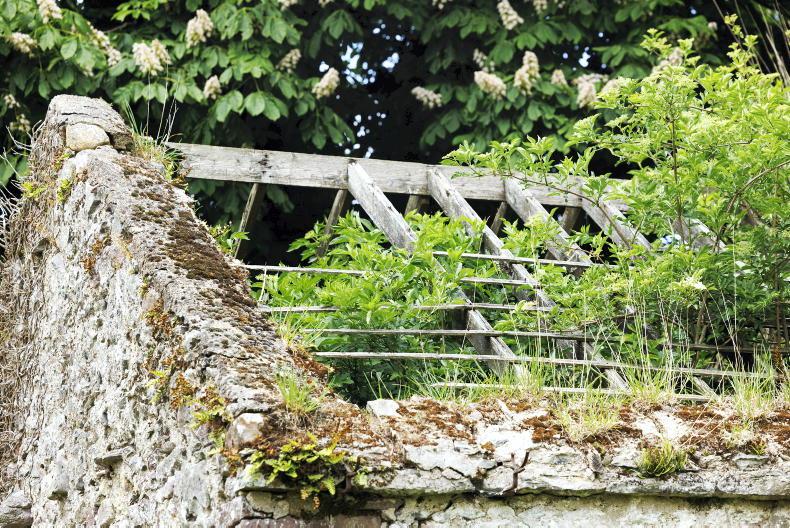 Up to €20,000 grant aid available for thatched buildings